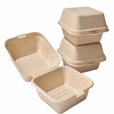 Bagasse Lunchbox