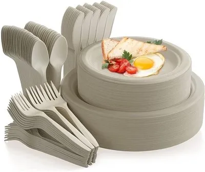 Suikerrietbagasse wegwerpbaar negen inch plaat