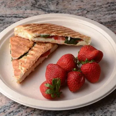 Suikerriet Bagasse tien-inch borden